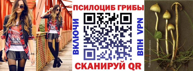 Псилоцибиновые грибы мицелий  Купить закладки  Пермь 